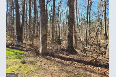 5984 Dolvin Lane, Buford, GA 30518 - Photo 52