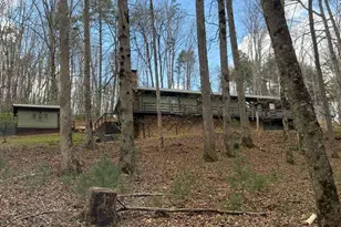 260 Flt Crk Xing, Blue Ridge, GA 30513 - Photo 60