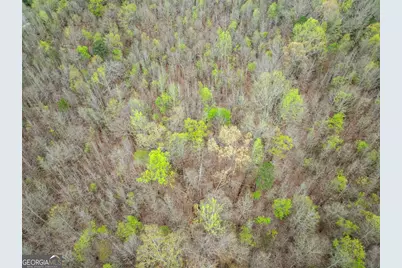 0 Thompson Street, Homer, GA 30547 - Photo 18