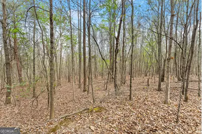 0 Thompson Street, Homer, GA 30547 - Photo 12