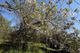 2585 New Clinton Rd, Macon, GA 31211 - Photo 72