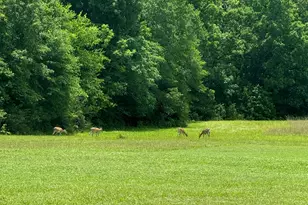 70 McDonald Rd, Covington, GA 30014 - Photo 76