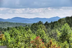 603 Red Berry Ridge Rd, Blue Ridge, GA 30513 - Photo 14