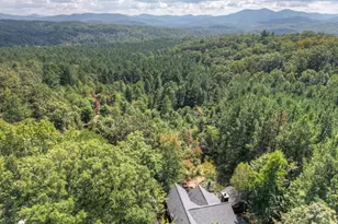 603 Red Berry Ridge Rd, Blue Ridge, GA 30513 - Photo 44