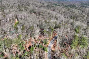 1183 Bear Paw Trail, Blue Ridge, GA 30513 - Photo 8