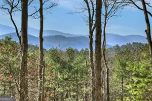 1183 Bear Paw Trail, Blue Ridge, GA 30513 - Photo 24