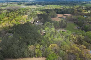 1201 Sid Hunter Rd, Senoia, GA 30276 - Photo 22