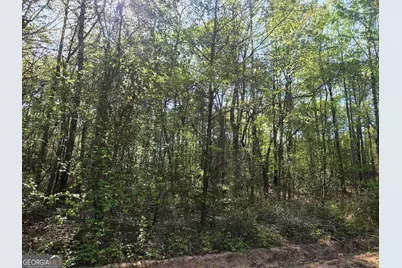 Tract A Ga Highway 102, Mitchell, GA 30820 - Photo 10