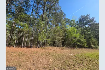 Tract A Ga Highway 102, Mitchell, GA 30820 - Photo 1