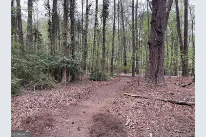 511 Planceer Place, Peachtree City, GA 30269 - Photo 26