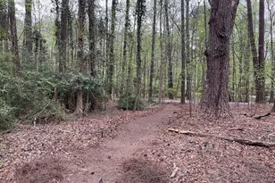 511 Planceer Pl, Peachtree City, GA 30269 - Photo 26