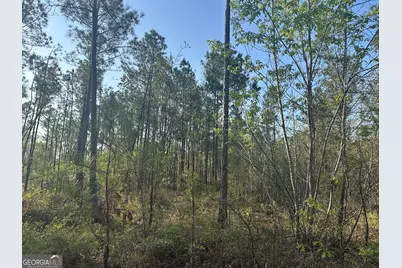 4253 Bath Edie Road, Hephzibah, GA 30815 - Photo 8