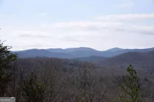 365 Aska Frst Trl, Blue Ridge, GA 30513 - Photo 22