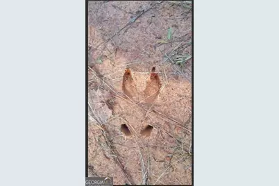 1047 Ponder Trammell Road, Juliette, GA 31046 - Photo 4