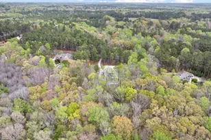 215 Diamond Point, Fayetteville, GA 30215 - Photo 132