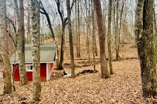 1048 Echota Rd, Clarkesville, GA 30523 - Photo 46