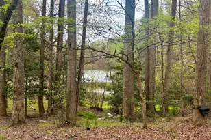 1048 Echota Rd, Clarkesville, GA 30523 - Photo 54