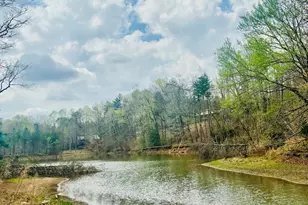 1048 Echota Rd, Clarkesville, GA 30523 - Photo 2