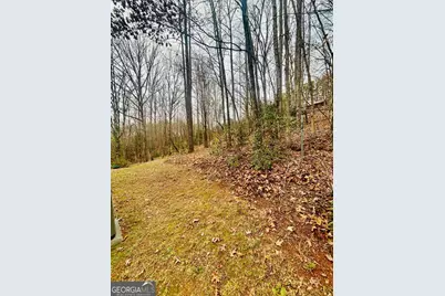 1048 Echota Road, Clarkesville, GA 30523 - Photo 44