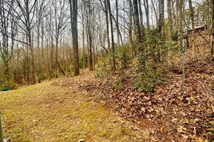 1048 Echota Rd, Clarkesville, GA 30523 - Photo 44