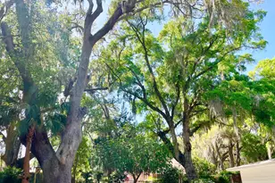 707 W Conyers, Saint Marys, GA 31558 - Photo 28