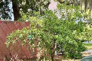 707 W Conyers, Saint Marys, GA 31558 - Photo 26