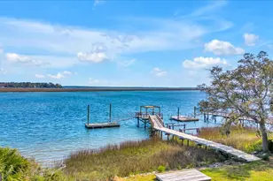 690 Japonica Dr, Midway, GA 31320 - Photo 46