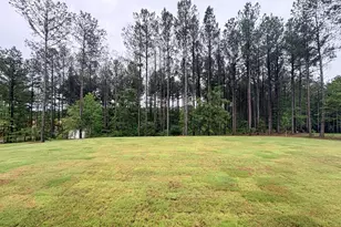 78 Marsh Hawk Ct, Senoia, GA 30276 - Photo 28