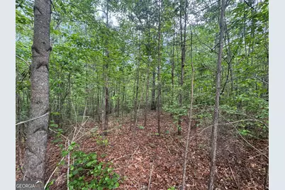 1786 Jones Mountain Road, Jasper, GA 30143 - Photo 2