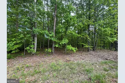 1786 Jones Mountain Road, Jasper, GA 30143 - Photo 4