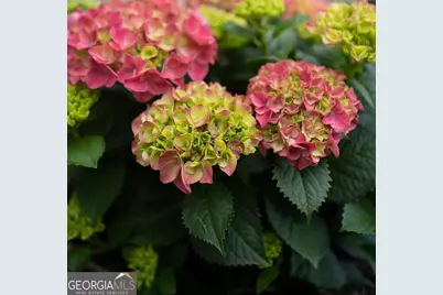 1941 Palm Place, Valdosta, GA 31602 - Photo 6