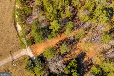 0 Mauldin Road, Elberton, GA 30635 - Photo 14