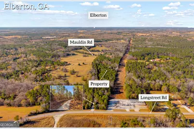 0 Mauldin Road, Elberton, GA 30635 - Photo 8