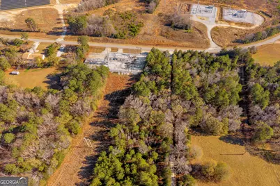 0 Mauldin Road, Elberton, GA 30635 - Photo 12