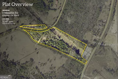 0 Mauldin Road, Elberton, GA 30635 - Photo 2