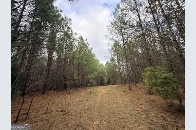 1929 Sharon Road, Crawfordville, GA 30631 - Photo 46