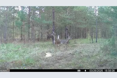 1929 Sharon Road, Crawfordville, GA 30631 - Photo 56