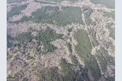 1929 Sharon Road, Crawfordville, GA 30631 - Photo 4