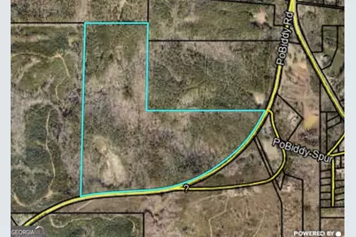 103 Acres Pobiddy Road, Thomaston, GA 30286 - Photo 2