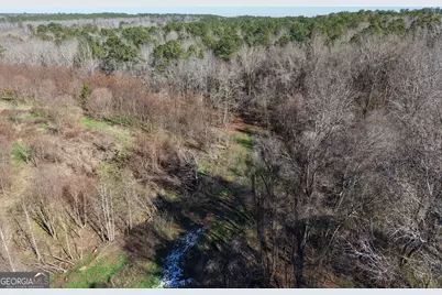 103 Acres Pobiddy Road, Thomaston, GA 30286 - Photo 6