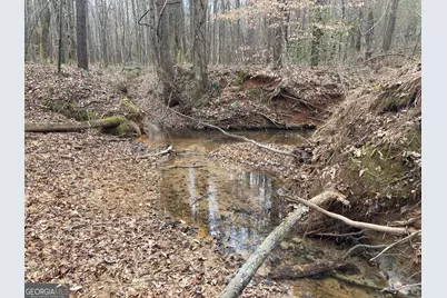 40 Acres Pobiddy Road, Thomaston, GA 30286 - Photo 20