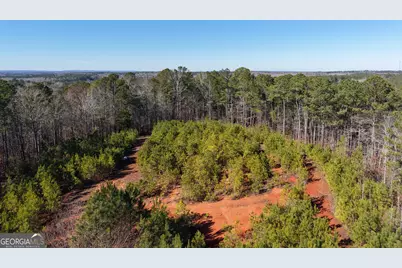40 Acres Pobiddy Road, Thomaston, GA 30286 - Photo 8