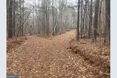 40 Acres Pobiddy Road, Thomaston, GA 30286 - Photo 16