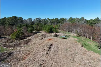 40 Acres Pobiddy Road, Thomaston, GA 30286 - Photo 6