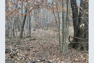 40 Acres Pobiddy Road, Thomaston, GA 30286 - Photo 22