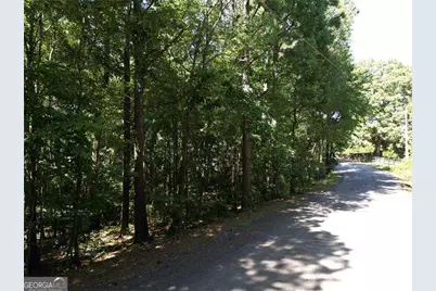 0 Thomas Road, Dallas, GA 30132 - Photo 4