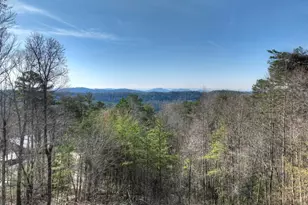 500 Evening Shade Walk, Mineral Bluff, GA 30559 - Photo 28