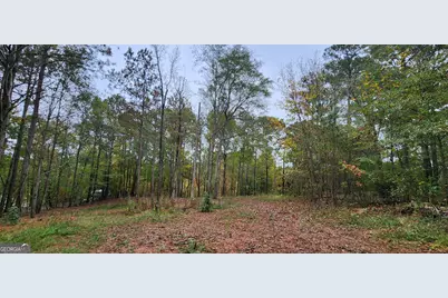 18 E Mourning Dove Ct, Monticello, GA 31064 - Photo 2