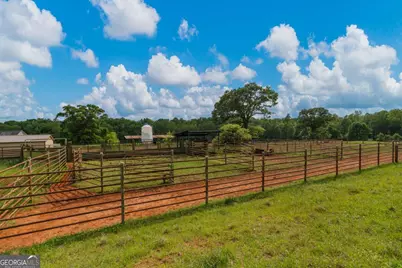 1540 Flint Hill Highway, Shiloh, GA 31826 - Photo 8