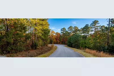 0 Skyline Drive, Fortson, GA 31808 - Photo 2